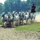 10 Trimpel Helmut Ungarische Reiterspiele II